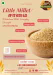 Little Millet